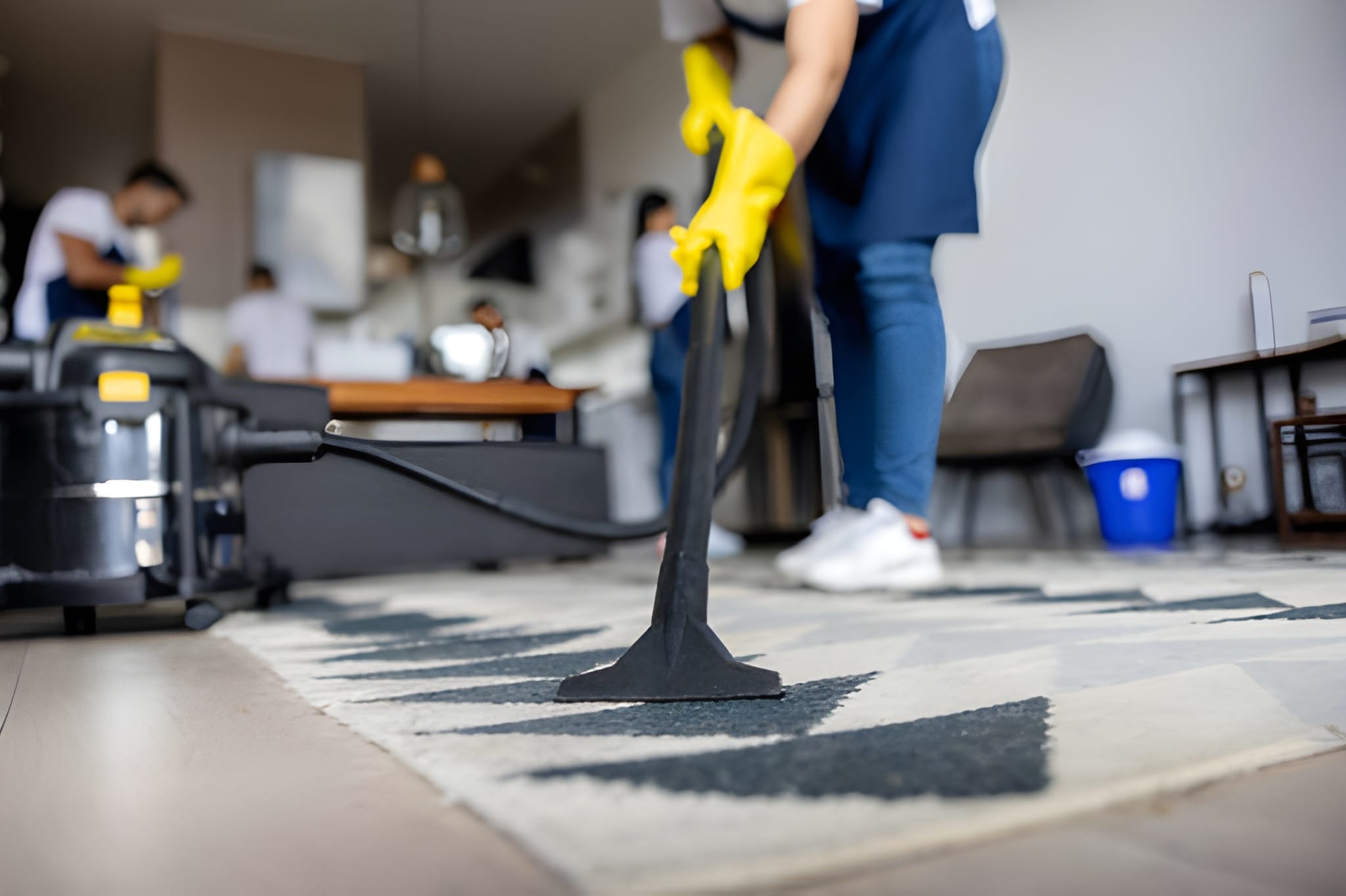 Professional Cleaning Service